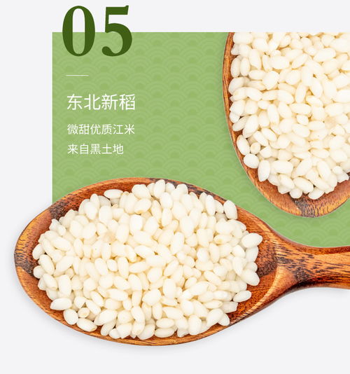 言禮嘉興粽子 潤(rùn)香豆沙粽120g 2只新鮮甜味粽真空包裝即食早餐食品 端午節(jié)浙江特產(chǎn)