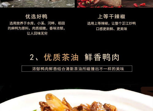 芷江鴨 茶油味 450g 袋 湖南地標產品湘西特產小吃鴨肉加熱即食鹵味零食食品